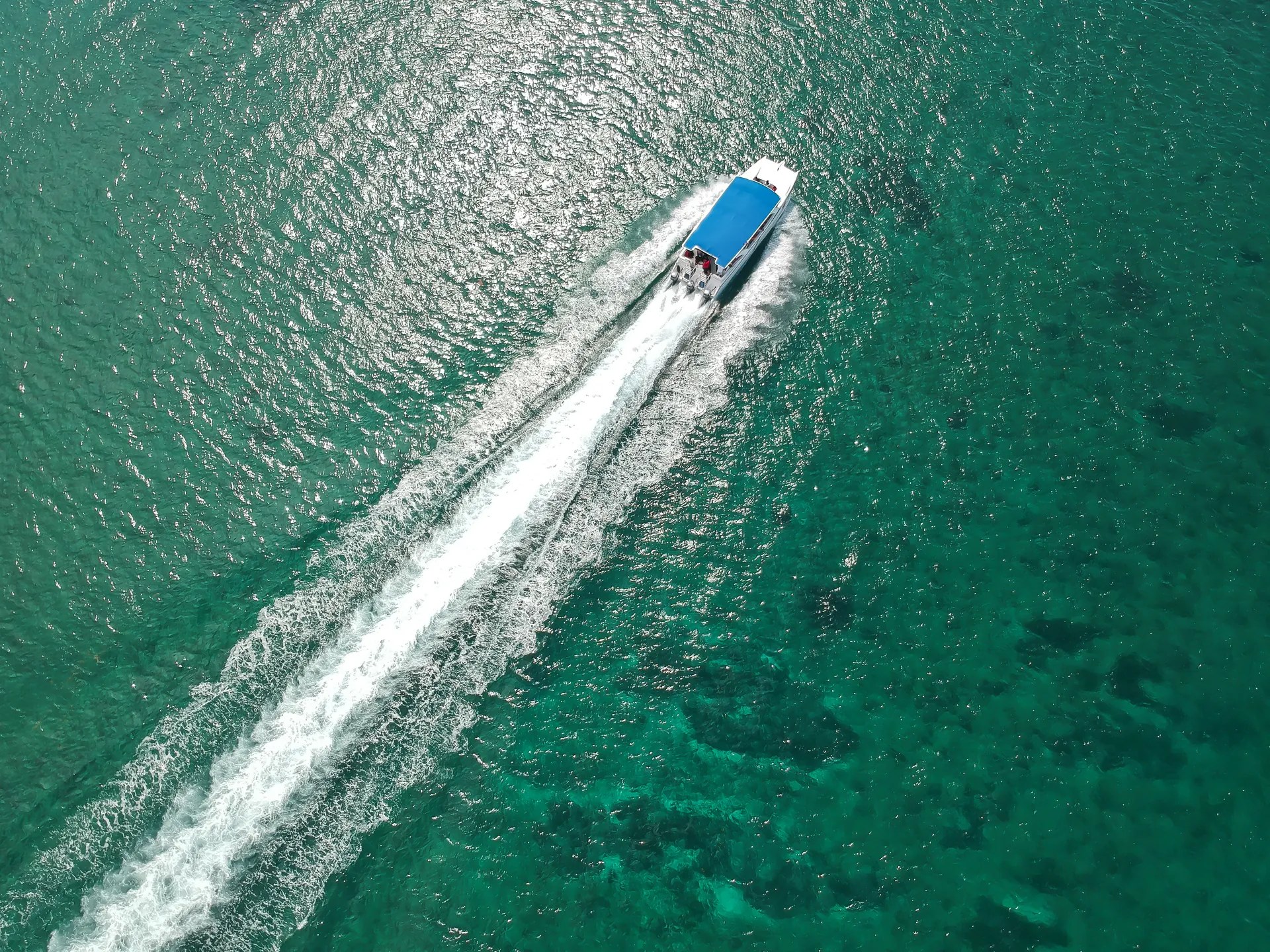 Navegación en lancha hasta la isla